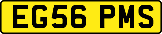 EG56PMS