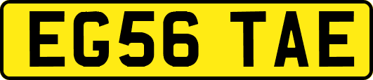 EG56TAE