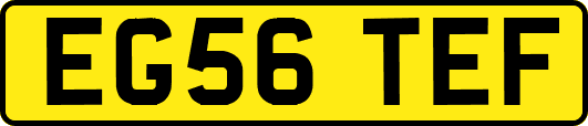 EG56TEF