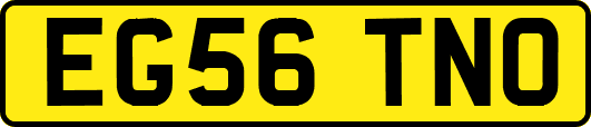 EG56TNO