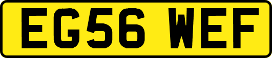 EG56WEF