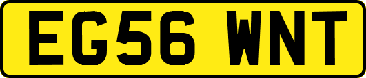 EG56WNT