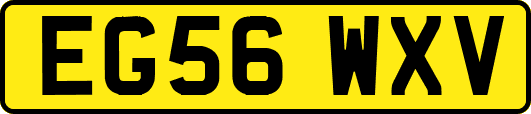 EG56WXV