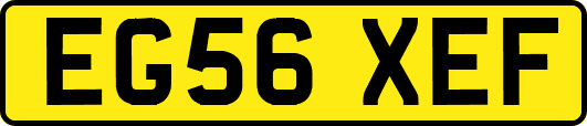 EG56XEF