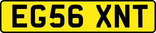 EG56XNT