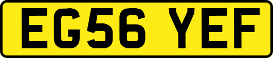 EG56YEF