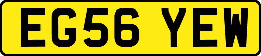EG56YEW