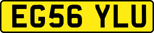 EG56YLU