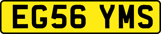 EG56YMS