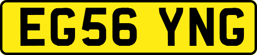 EG56YNG