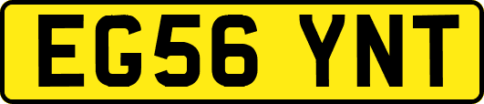 EG56YNT