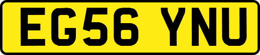 EG56YNU