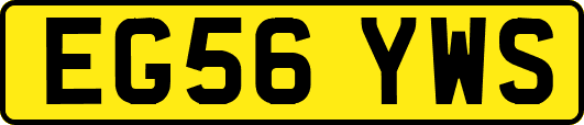 EG56YWS