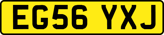 EG56YXJ
