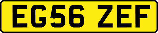 EG56ZEF