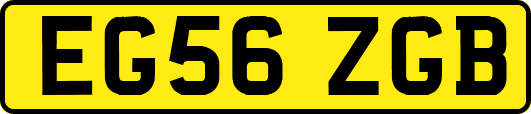 EG56ZGB