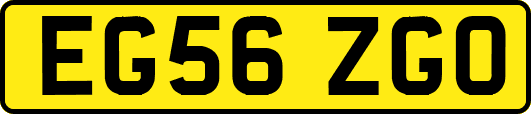 EG56ZGO