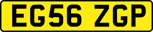 EG56ZGP