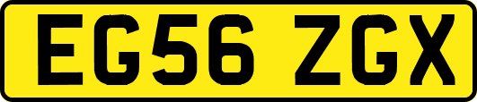 EG56ZGX