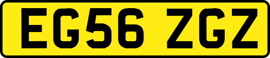 EG56ZGZ