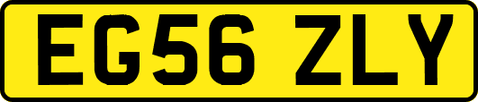 EG56ZLY