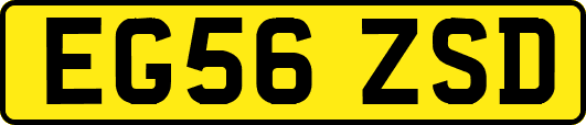 EG56ZSD