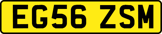 EG56ZSM