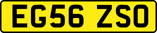 EG56ZSO