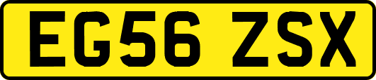 EG56ZSX