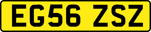 EG56ZSZ