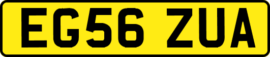 EG56ZUA