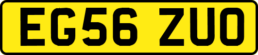 EG56ZUO