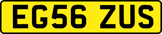 EG56ZUS
