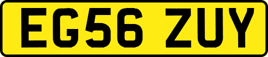 EG56ZUY
