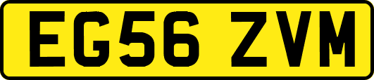 EG56ZVM
