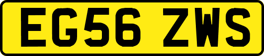 EG56ZWS