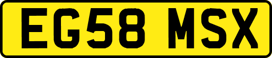 EG58MSX