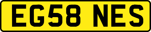 EG58NES