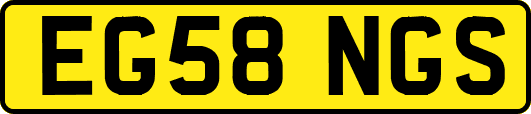 EG58NGS