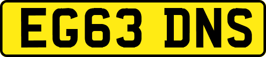 EG63DNS