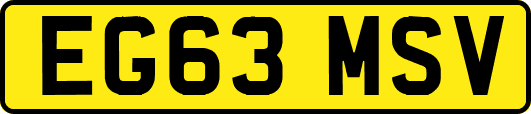 EG63MSV