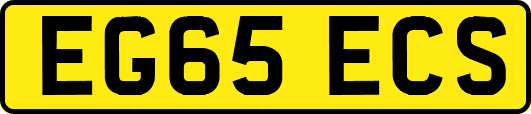 EG65ECS