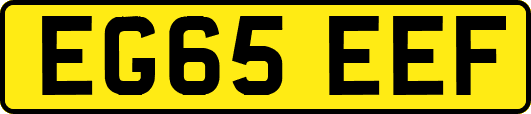 EG65EEF