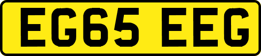 EG65EEG