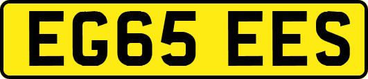 EG65EES