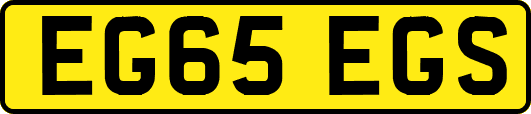 EG65EGS