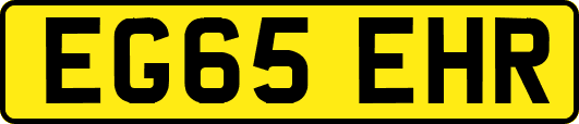EG65EHR