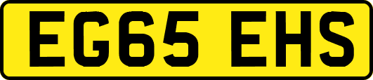 EG65EHS