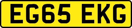 EG65EKG