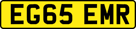 EG65EMR